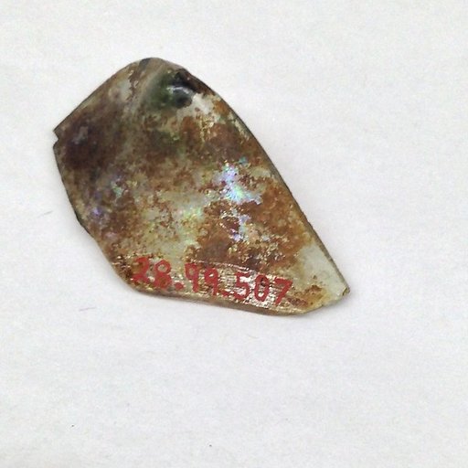 Fragment