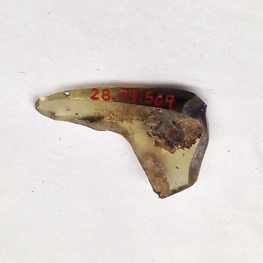 Fragment