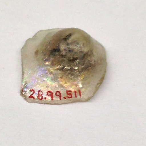 Fragment