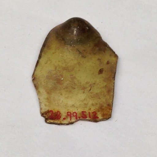 Fragment