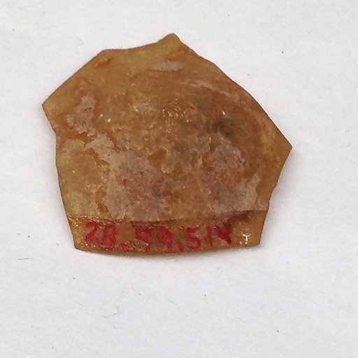 Fragment