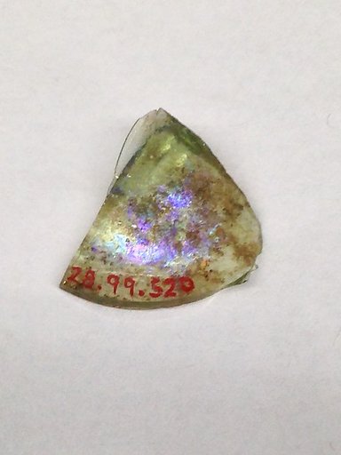 Fragment