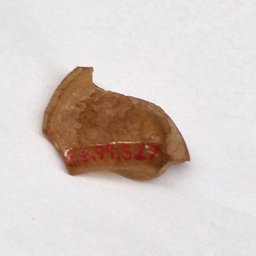 Fragment