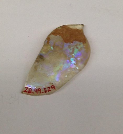 Fragment