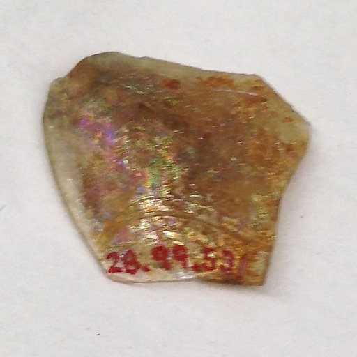 Fragment