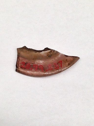 Fragment