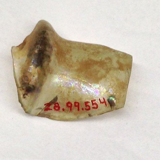 Fragment
