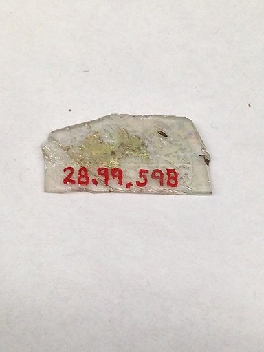Fragment