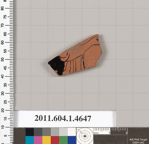Terracotta fragment of a kylix (drinking cup)