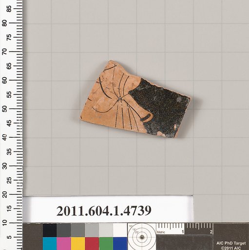 Terracotta fragment of a kylix (drinking cup)