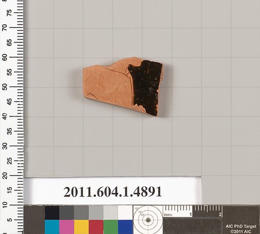 Terracotta fragment of a kylix (drinking cup)