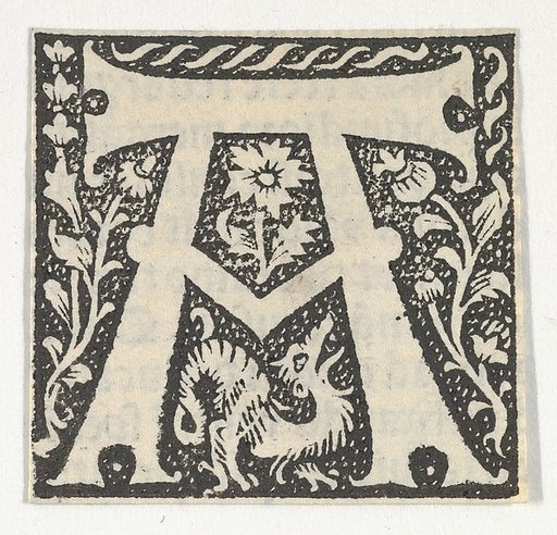 Decorated Roman alphabet