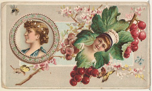 Currants and Serving Plate, from the Miniature Novelties series (N120) issued by Duke Sons & Co. to promote Honest Long Cut Tobacco