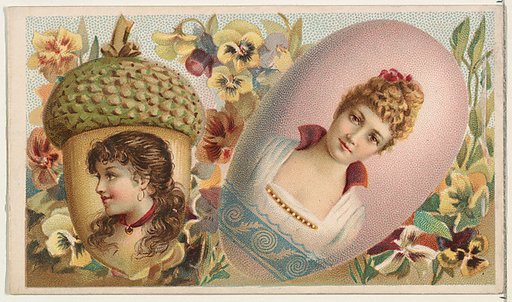Acorn, from the Miniature Novelties series (N120) issued by Duke Sons & Co. to promote Honest Long Cut Tobacco