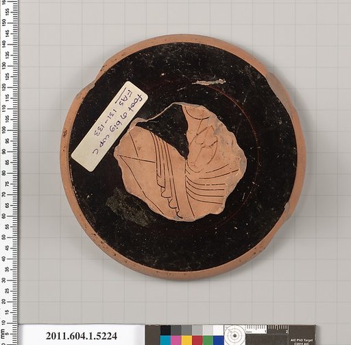 Terracotta fragment of a kylix (drinking cup)