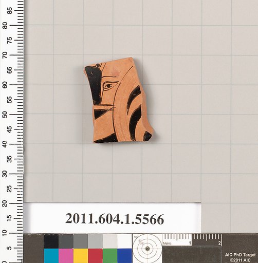 Terracotta fragment of a kylix (drinking cup)