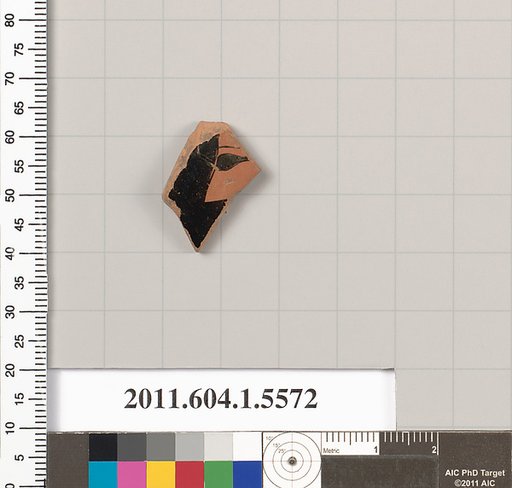 Terracotta fragment of a kylix (drinking cup)