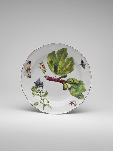 Botanical plate with spray of fruiting fig