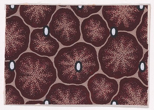 Textile Design with Animal Print Decorated with Pearls