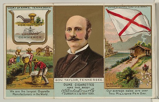 Governor Taylor, Tennessee, from "Governors, Arms, Etc." series (N133-2), issued by Duke Sons & Co.