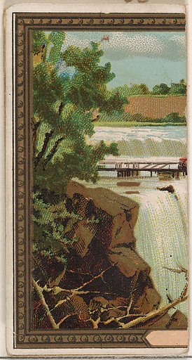 Falls of Niagara, New York, from the Rulers, Flags, and Coats of Arms series (N126-2) issued by W. Duke, Sons & Co.