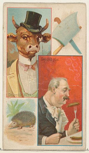 Dressed Beef / Ground Hog, from the Jokes series (N118) issued by Duke Sons & Co. to promote Honest Long Cut Tobacco