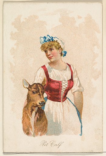 Pet Calf, from the Household Pets series (N194) issued by Wm. S. Kimball & Co.