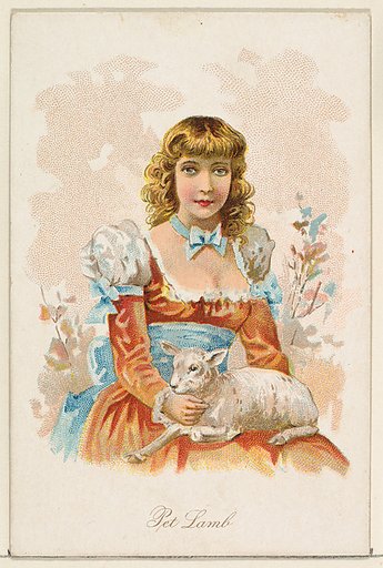 Pet Lamb, from the Household Pets series (N194) issued by Wm. S. Kimball & Co.