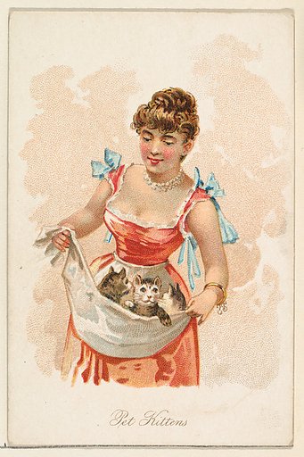 Pet Kittens, from the Household Pets series (N194) issued by Wm. S. Kimball & Co.