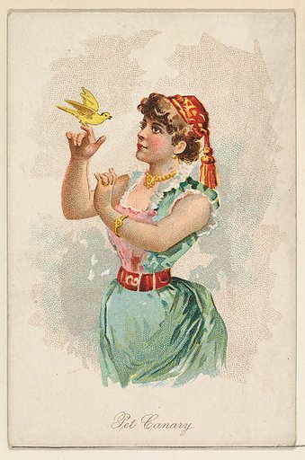 Pet Canary, from the Household Pets series (N194) issued by Wm. S. Kimball & Co.