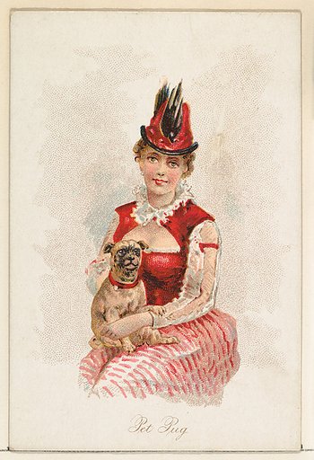 Pet Pug, from the Household Pets series (N194) issued by Wm. S. Kimball & Co.