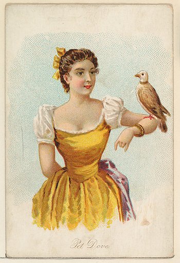 Pet Dove, from the Household Pets series (N194) issued by Wm. S. Kimball & Co.