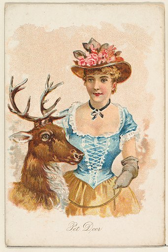 Pet Deer, from the Household Pets series (N194) issued by Wm. S. Kimball & Co.