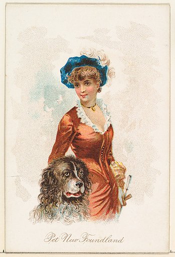 Pet Newfoundland, from the Household Pets series (N194) issued by Wm. S. Kimball & Co.