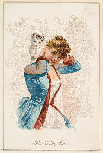 Pet Tabby Cat, from the Household Pets series (N194) issued by Wm. S. Kimball & Co.