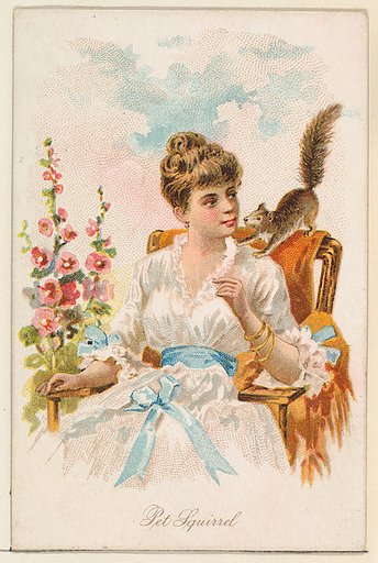 Pet Squirrel, from the Household Pets series (N194) issued by Wm. S. Kimball & Co.