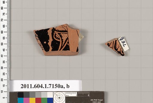 Terracotta fragments of a kylix (drinking cup)