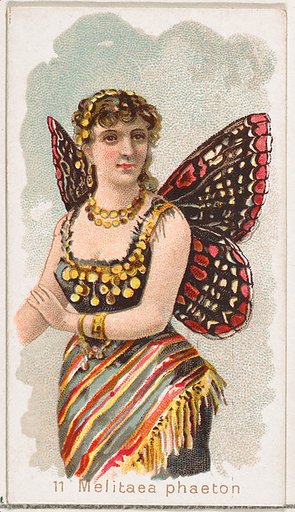 Card 11, Melitaea Phaeton, from the Butterflies series (N183) issued by Wm. S. Kimball & Co.