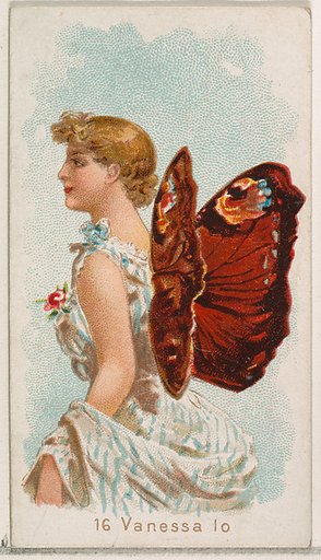 Card 16, Vanessa Io, from the Butterflies series (N183) issued by Wm. S. Kimball & Co.
