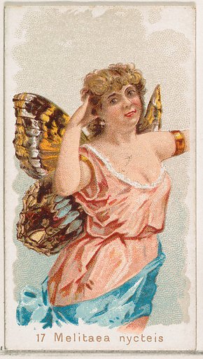 Card 17, Melitaea Nycteis, from the Butterflies series (N183) issued by Wm. S. Kimball & Co.