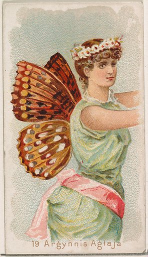 Card 19, Argynnis Aglaja, from the Butterflies series (N183) issued by Wm. S. Kimball & Co.