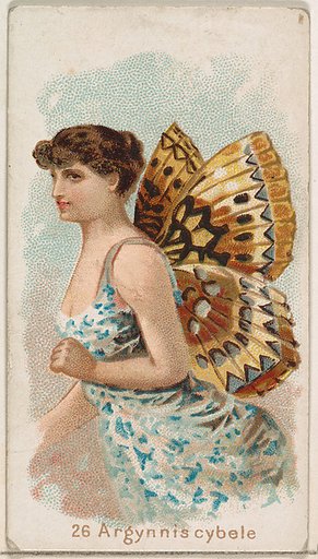 Card 26, Argynnis Cybele, from the Butterflies series (N183) issued by Wm. S. Kimball & Co.