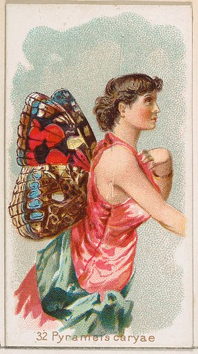 Card 32, Pyrameis Caryae, from the Butterflies series (N183) issued by Wm. S. Kimball & Co.