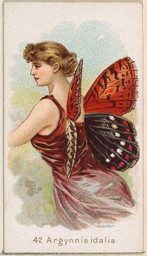 Card 42, Argynnis Idalia, from the Butterflies series (N183) issued by Wm. S. Kimball & Co.