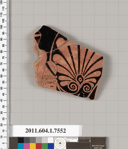 Terracotta fragment of a kylix (drinking cup)