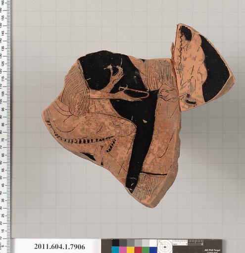 Terracotta fragment of a kylix (drinking cup)