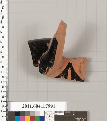 Terracotta fragment of a kylix (drinking cup)