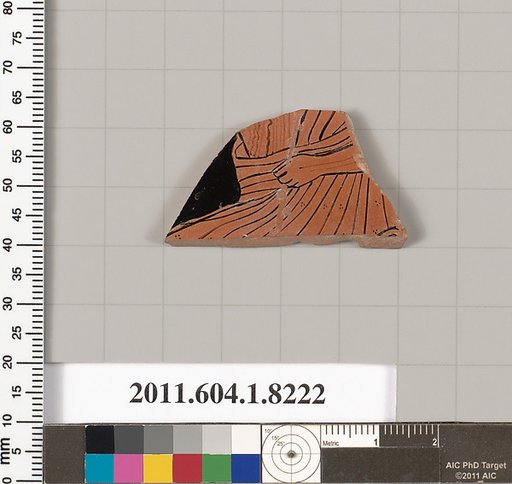 Terracotta fragment of a kylix (drinking cup)
