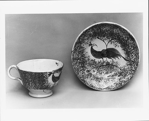 Saucer