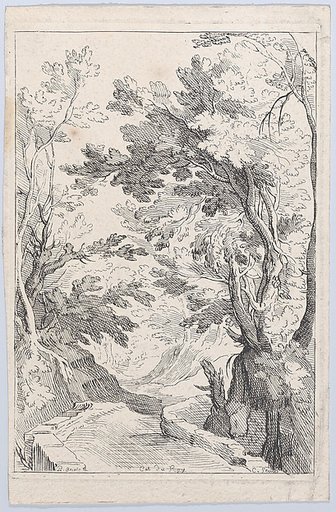 A Pathway with a Parapet in a Forest